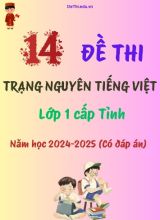 Bộ đề thi Trạng Nguyên Tiếng Việt Lớp 1 cấp tỉnh năm học 2024-2025 (14 Đề + Đáp án)
